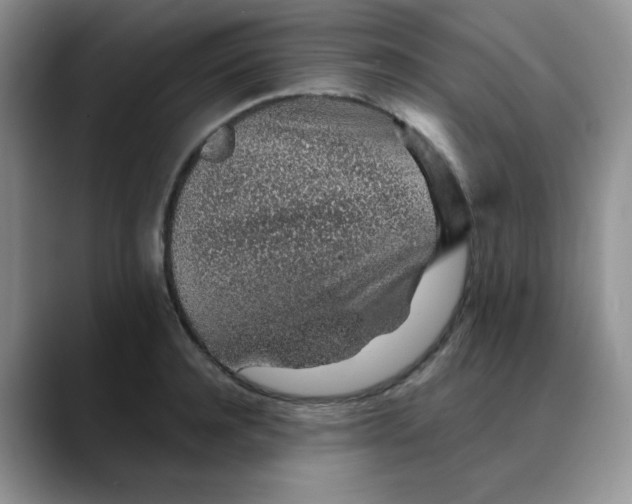 X0000088440944200706121506