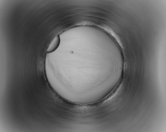 X0000088440945200706121506