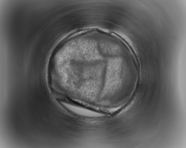 X0000088440949200706121506
