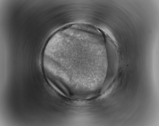 X0000088440952200706121506