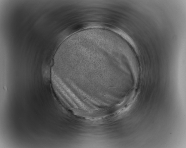 X0000088440953200706121506
