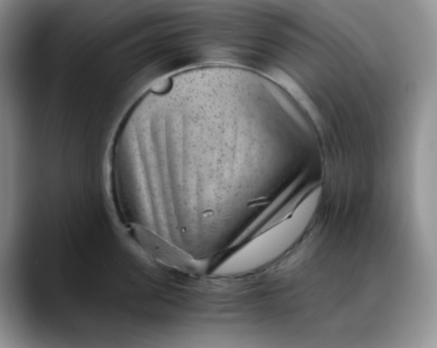 X0000088440955200706121506