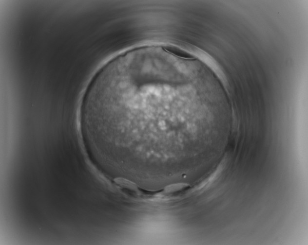 X0000088440958200706121506