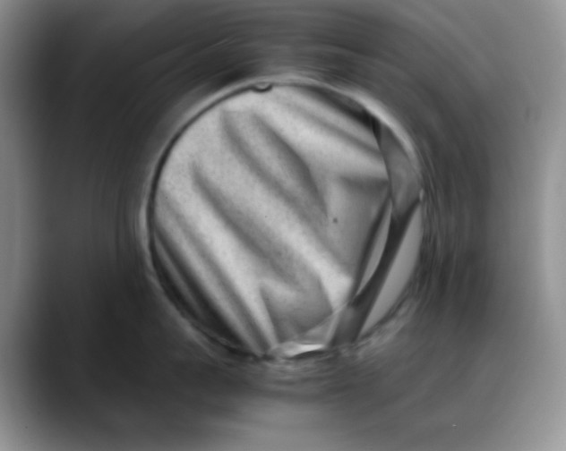 X0000088440959200706121506