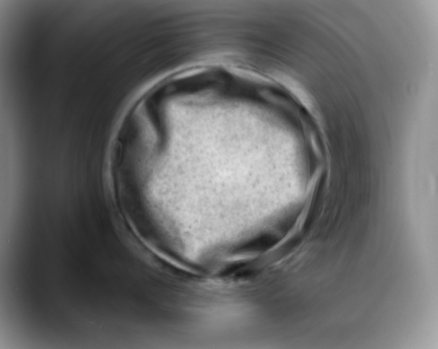 X0000088440960200706121506