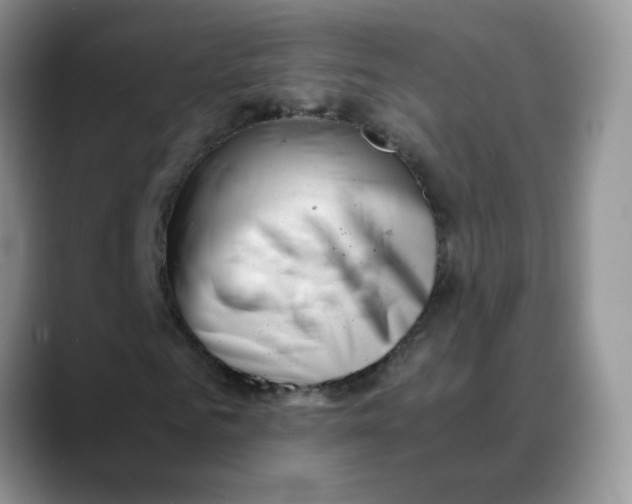 X0000088440961200706121506