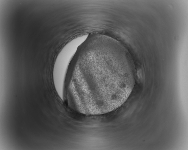 X0000088440963200706121506