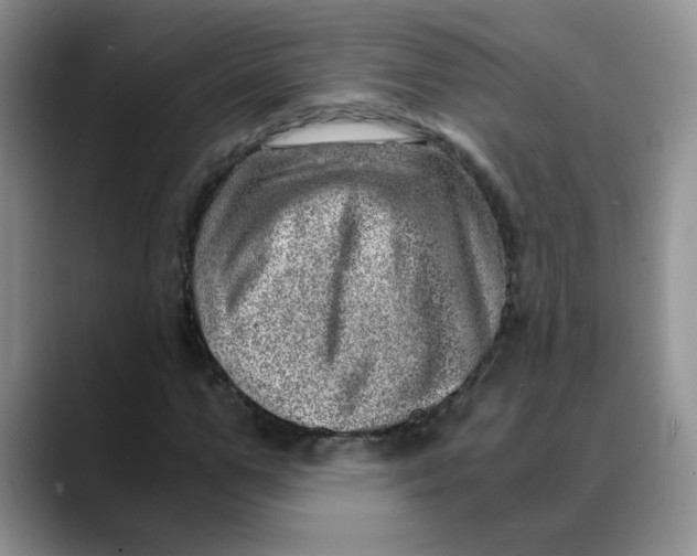 X0000088440967200706121506