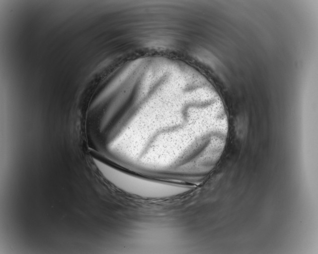 X0000088440968200706121506