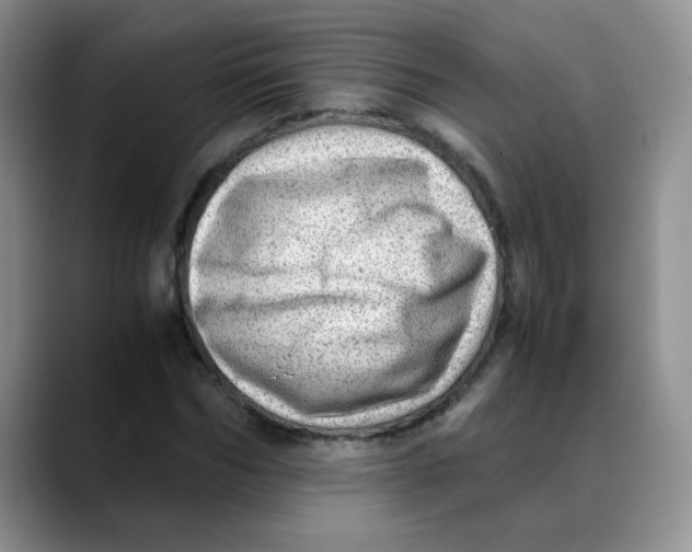 X0000088440970200706121506