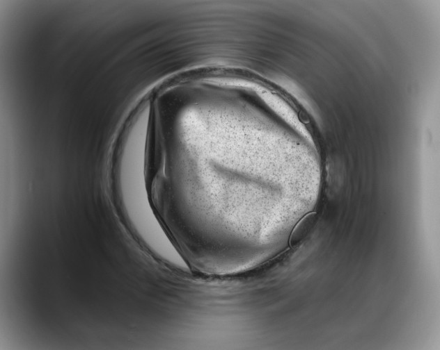 X0000088440972200706121506