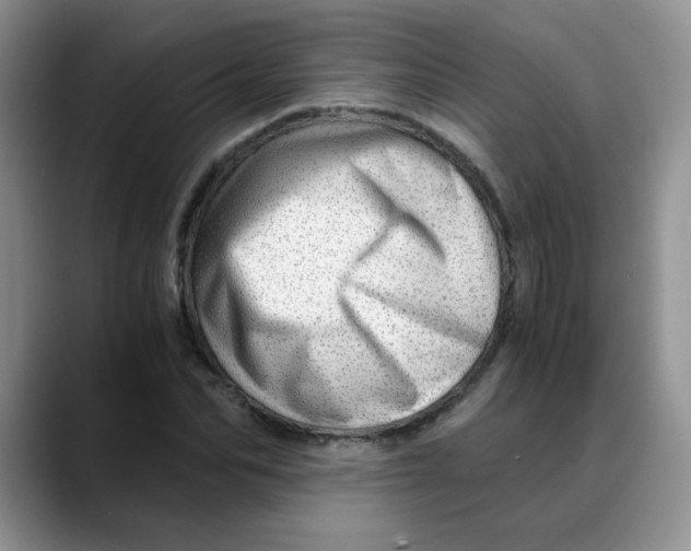X0000088440974200706121505