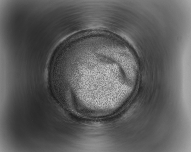 X0000088440975200706121505