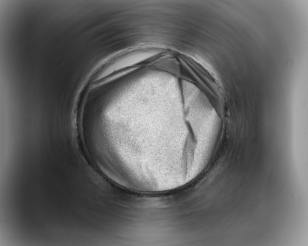 X0000088440976200706121505