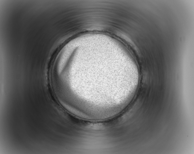 X0000088440978200706121505