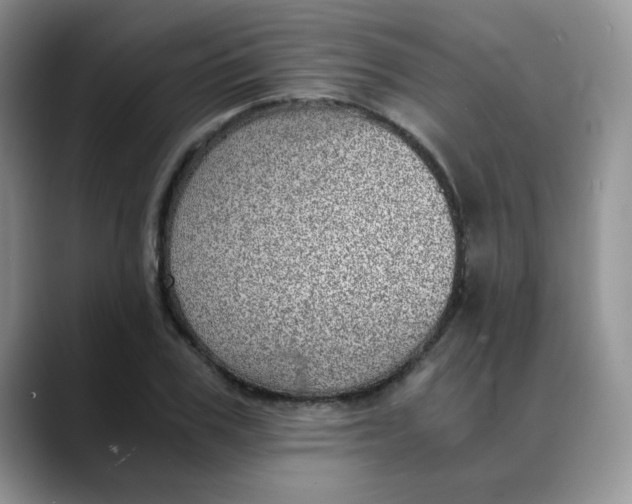 X0000088440979200706121505