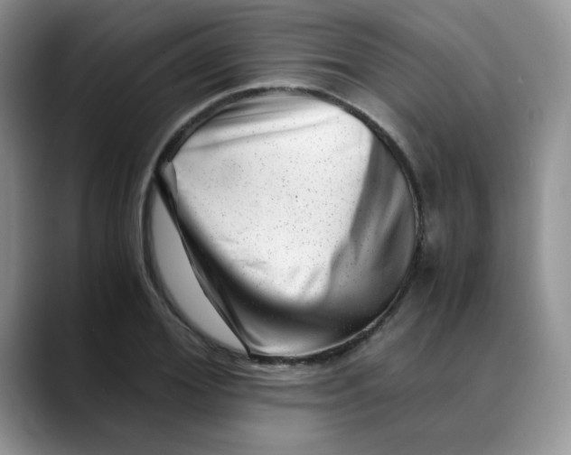 X0000088440980200706121505