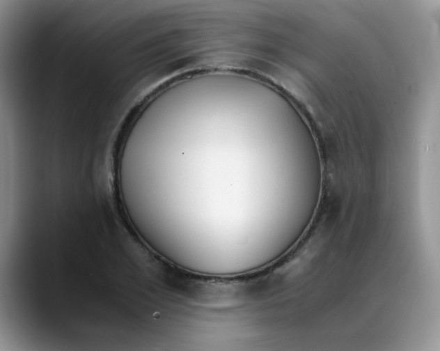 X0000088440981200706121505
