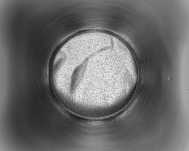 X0000088440982200706121505