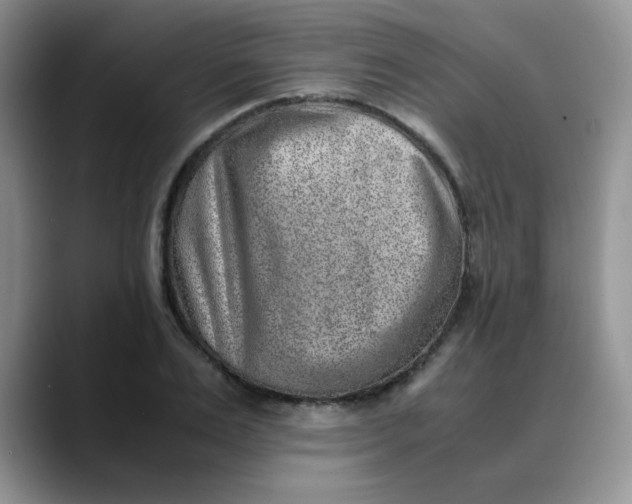 X0000088440983200706121505