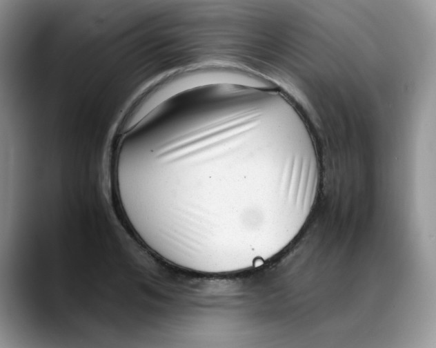 X0000088440984200706121505