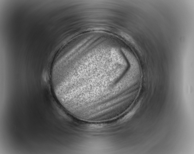 X0000088440985200706121505