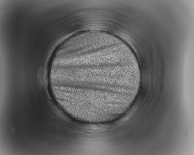 X0000088440987200706121505