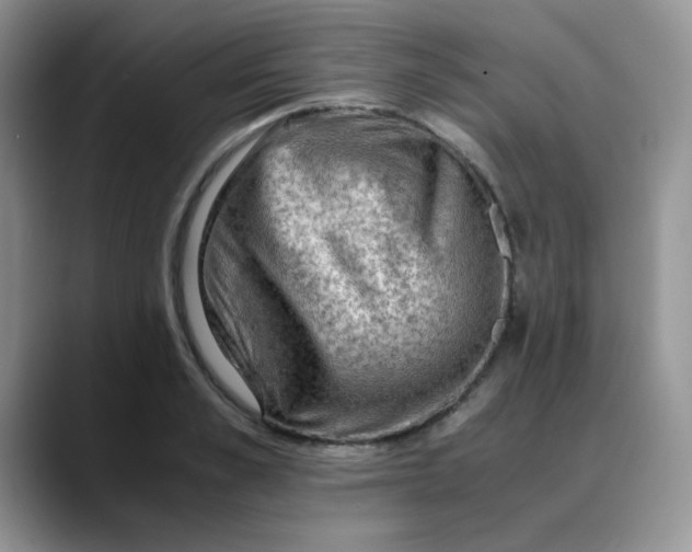 X0000088440989200706121505