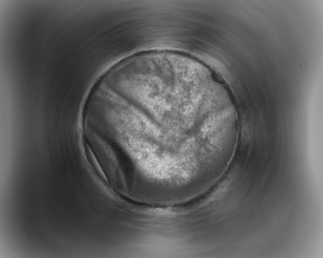 X0000088440990200706121505