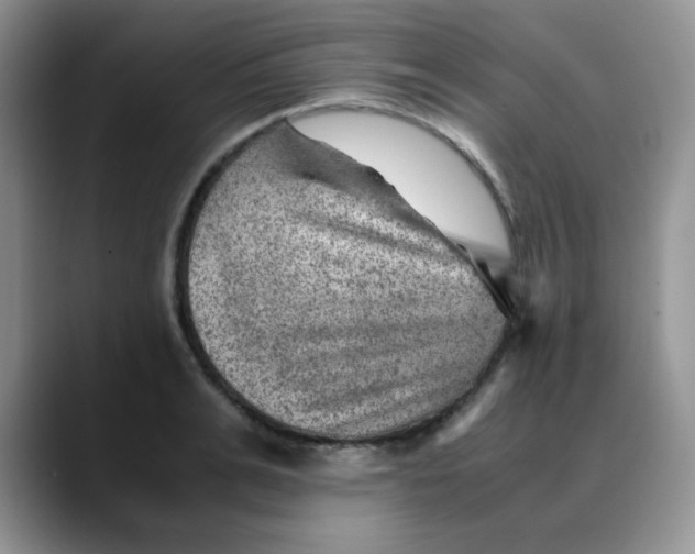 X0000088440991200706121505