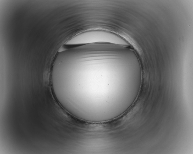 X0000088440993200706121505