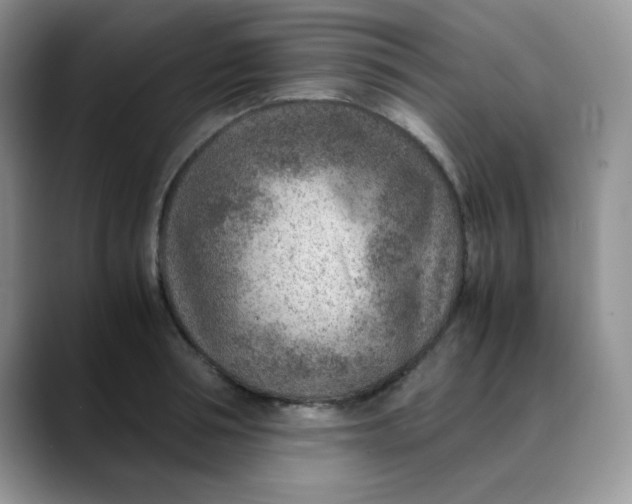 X0000088440994200706121505