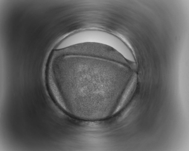 X0000088440995200706121505
