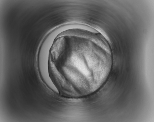 X0000088440996200706121505