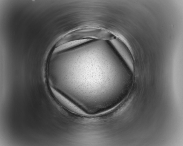 X0000088440997200706121505