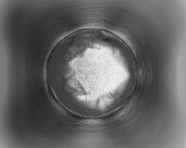 X0000088440998200706121505