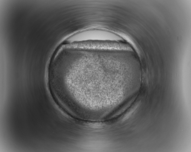 X0000088440999200706121505