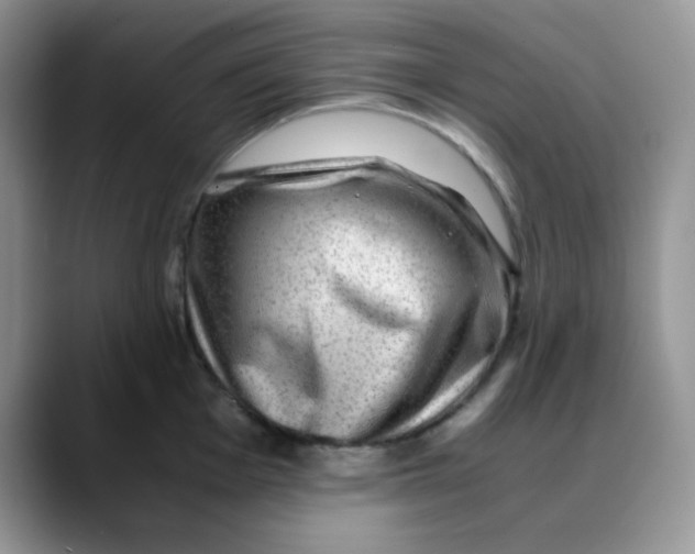 X0000088441001200706121505