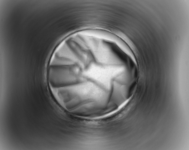 X0000088441004200706121505