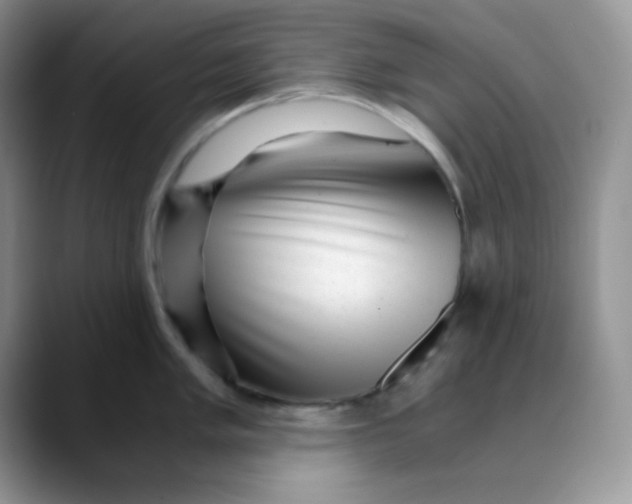 X0000088441005200706121505