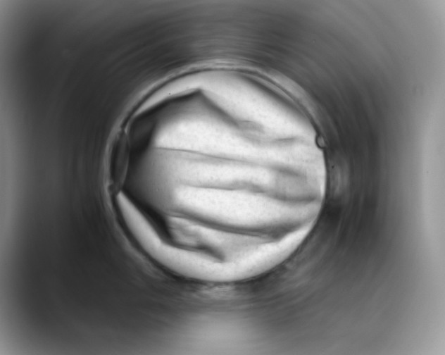 X0000088441006200706121505
