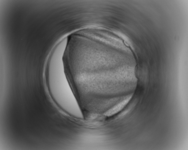 X0000088441007200706121505