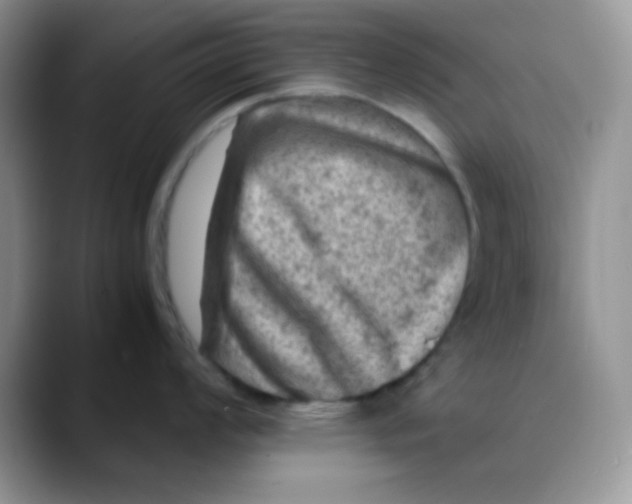 X0000088441008200706121505