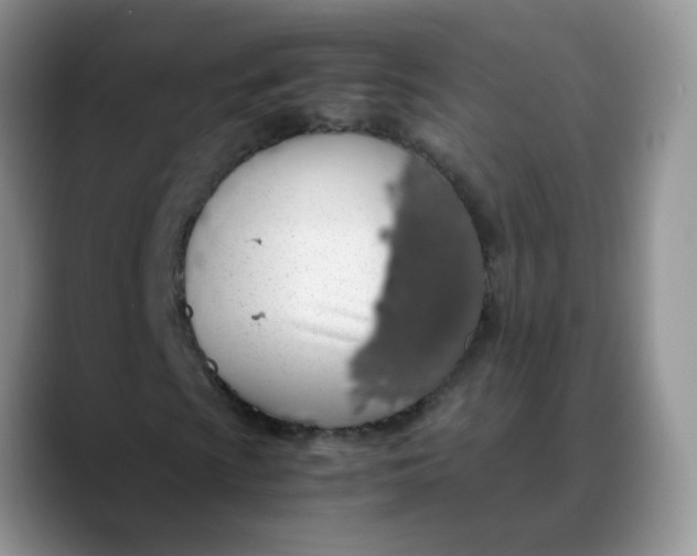 X0000088441009200706121505