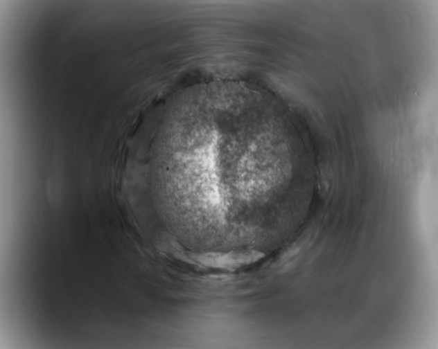 X0000088441010200706121505