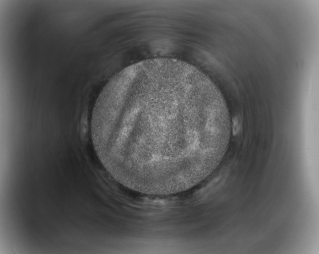 X0000088441011200706121505