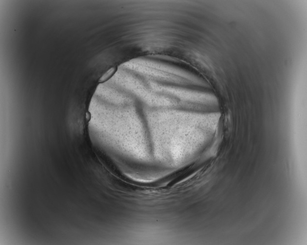 X0000088441012200706121505