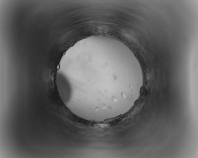 X0000088441013200706121505
