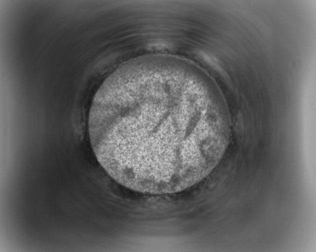 X0000088441015200706121505