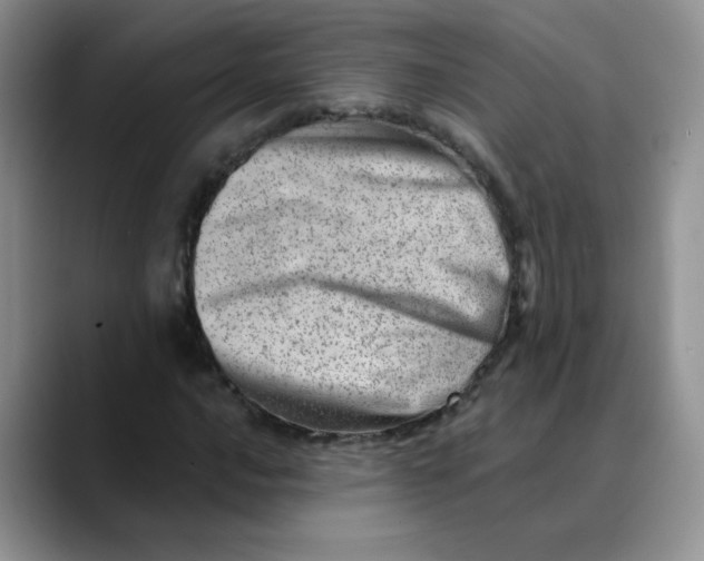 X0000088441016200706121505